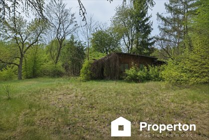 Zapraszam do zakupu działki 3000 m² z MPZP i mediami działka Żelechów, Parkowa