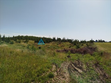 działka na sprzedaż 1492m2 działka Kolincz, Główna
