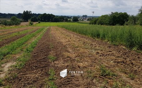 Działka przemysłowo-handlowa na sprzedaż Wysoki Kościół, Parkowa 1 000m2 Foto 5