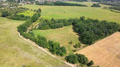 Teren pod inwestycję działka Szprotawa