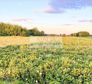 Działki budowlane 4 000 m2 pod zabudowę jednorodzinną działka Święcice