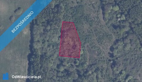 działka na sprzedaż 3011m2 działka Pręgowo