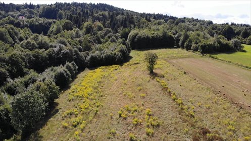 Działka 9908 m² z planem pod zabudowę w Skawinkach polecam! działka Skawinki, Łąkowa