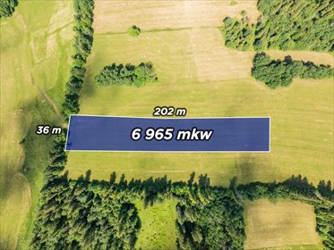 Działka rolna 6965 m² z możliwością zalesienia (Bustryk) działka Bustryk