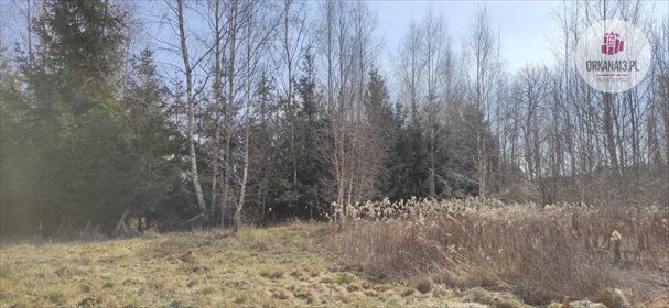 Działka inwestycyjna na sprzedaż Gronity, Gronity 4 888m2 Foto 4