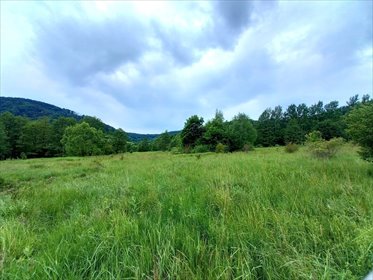 działka na sprzedaż 2710m2 działka Łomnica