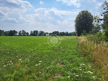 Na sprzedaż atrakcyjne działki budowlane w Rojewicach działka Rojewice