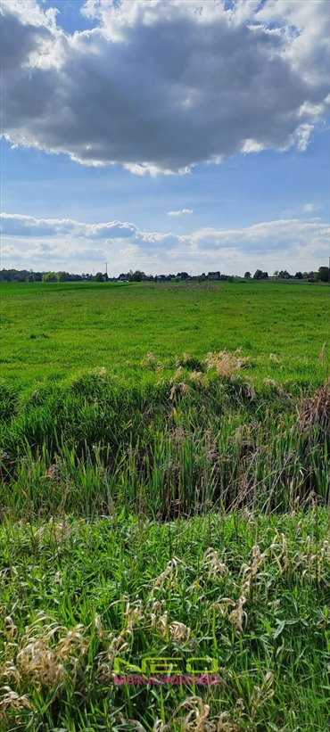 Działka rolna 4736 m² z potencjałem w Opatowie. działka Opatów