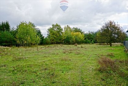 działka na sprzedaż 2500m2 działka Radziejowice-Parcel, Aleja Lipowa