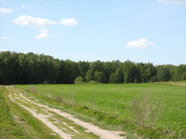 działka na sprzedaż 3016m2 działka Radomek, Szeplerzyzna