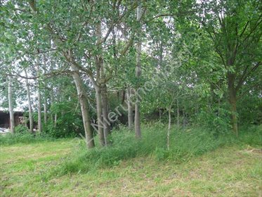 Działka siedliskowa na sprzedaż Jędrzejów Nowy 3 500m2 Foto 2