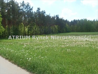 Działka inna na sprzedaż Włodzimierzów 3 500m2 Foto 3