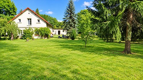 Na sprzedaż przestronne siedlisko 1,1020 ha w Kędrzynie dom Kędrzyno