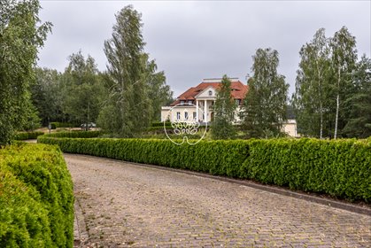 dom na sprzedaż 5000m2 dom Osieczek