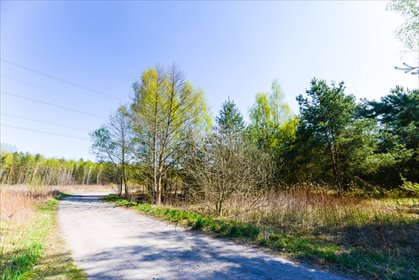 Działka 1020 m² przy lesie - prywatność i komfort działka Michałówek, Bajkowa