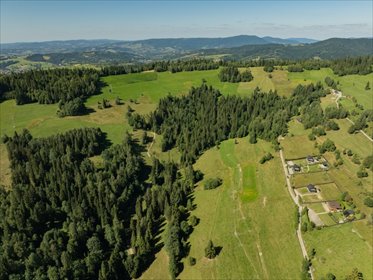 Polecam dużą działkę 29 328 m² w Obidowej na Podhalu działka Obidowa