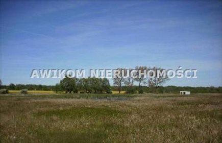 Działka siedliskowa 3900 m² z warunkami zabudowy polecam działka Basin
