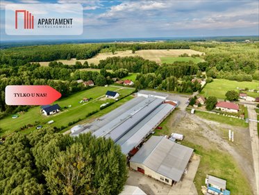 Do sprzedania przestronny obiekt przemysłowo-magazynowy 5 022 m² w Bukowinie Sycowskiej lokal użytkowy Bukowina Sycowska