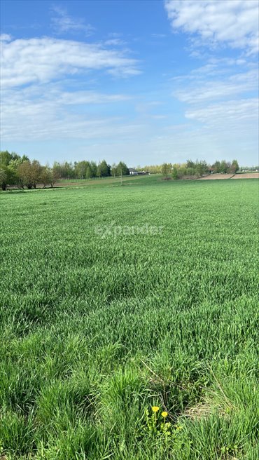 działka na sprzedaż 1800m2 działka Rudka Kozłowiecka