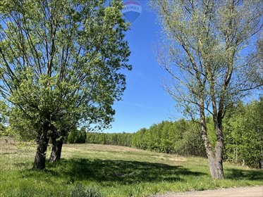 działka na sprzedaż 9500m2 działka Pustelnik, Graniczna