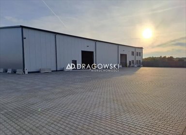 Na wynajem nowoczesny magazyn 1200 m² z biurem i placem magazyn Wolica