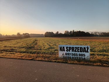 Działka 3000 m² z warunkami zabudowy przy asfaltowej drodze działka Nowe Wrońska
