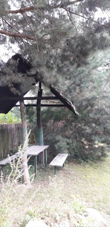 Działka siedliskowa na sprzedaż Kiczki Pierwsze 3 000m2 Foto 5
