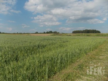 działka na sprzedaż 50406m2 działka Stary Łajszczew