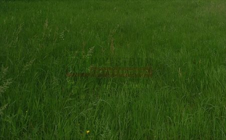 Działka inna na sprzedaż Brzezina 3 811m2 Foto 1