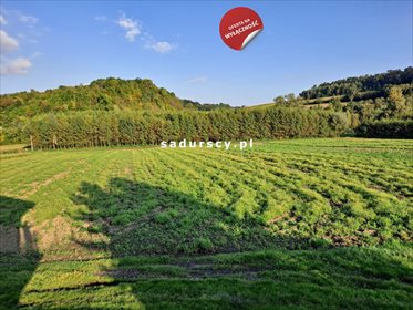 działka na sprzedaż 4800m2 działka Polekarcice