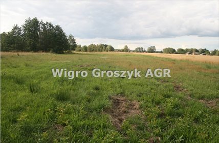 Działka rolna na sprzedaż Wrzosówka 10 500m2 Foto 3