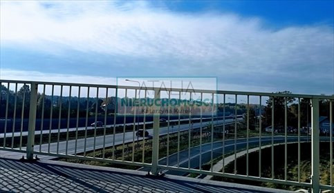 Działka 31 000 m² z planem zagospodarowania i zalesieniem działka Nowa Bukówka