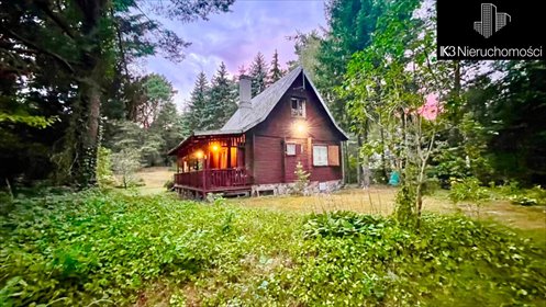 Działka z domem z starodrzewem 2372 m² w Deskurowie polecam dom Deskurów
