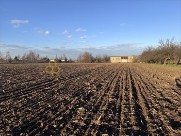 działka na sprzedaż 2420m2 działka Chomęcice, Południowa