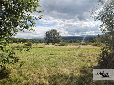 Działka 1057 m² z widokiem na Karkonosze i Izerów działka Grudza, Grudza/Kłopotnica