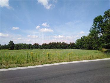 działka na sprzedaż 1120m2 działka Domaradz