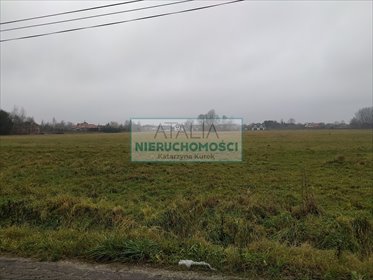 Działka rolno-leśna 18 700 m² z mediami, Tarczyn działka Bystrzanów