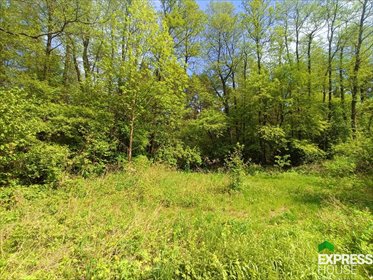 działka na sprzedaż 500m2 działka Kruszówiec