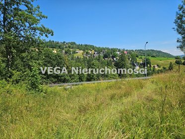 działka na sprzedaż 539m2 działka Zakopane