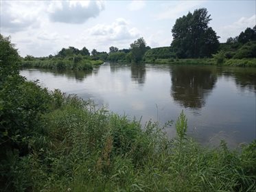 Działka budowlana na sprzedaż Boguszków 1 600m2 Foto 4