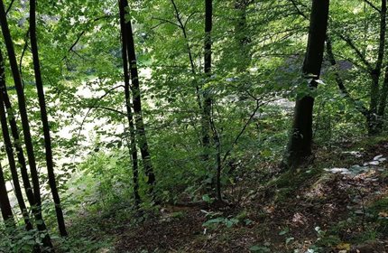 Działka budowlana na sprzedaż Jarnołtówek 2 700m2 Foto 4