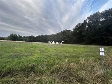 Dwie działki przy lesie w Porębie – cisza, natura, prywatność działka Poręba