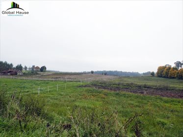 Działka rolna na sprzedaż Królowa Wola 28 400m2 Foto 2