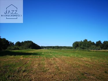 działka na sprzedaż 28129m2 działka Dębki