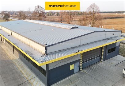 lokal użytkowy na wynajem 1000m2 lokal użytkowy Warszawice