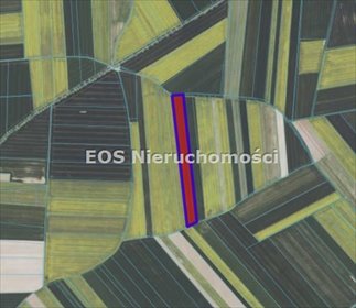 działka na sprzedaż 67700m2 działka Mieczków