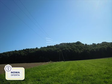 działka na sprzedaż 6000m2 działka Zalesie