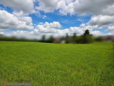 Do sprzedania działka 1233 m² w Bibicach z możliwością zabudowy działka Bibice