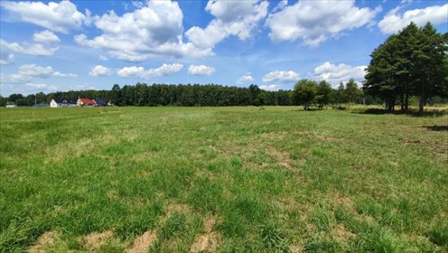 działka na sprzedaż 3816m2 działka Dobrzeń Wielki