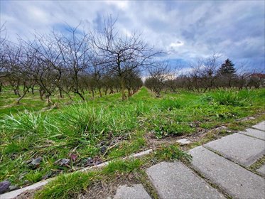 działka na sprzedaż 3000m2 działka Motycz